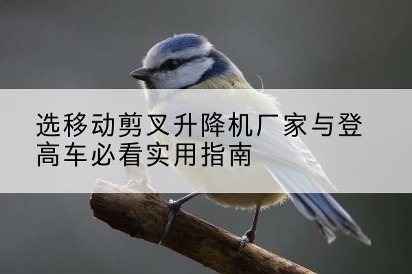 沙河电动升降机厂家-选移动剪叉升降机厂家与登高车必看实用指南