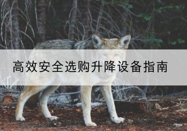 沙河升降货梯厂家推荐-*安全选购升降设备指南