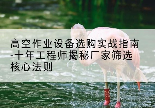 沙河剪叉式升降机厂家-高空作业设备选购实战指南-十年工程师揭秘厂家筛选核心法则